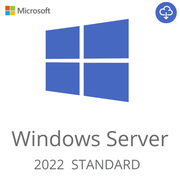Buy Microsoft Windows Server 2022 Standard Lifetime Activation Key