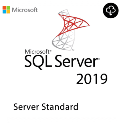 Microsoft SQL Server 2019 Standard Lifetime Activation Key